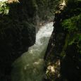 Dsc02441